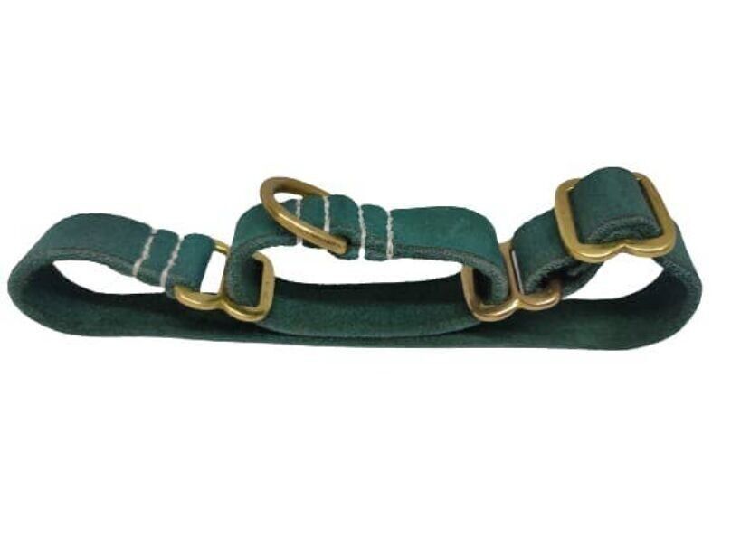 Grüne Hundehalsbänder