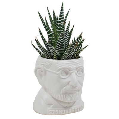 Freud flower pot