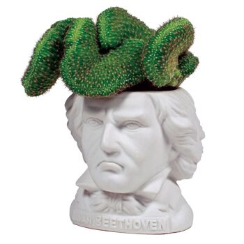 Pot de fleurs Ludwig van Beethoven 3