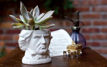 Pot de fleurs Ludwig van Beethoven 4