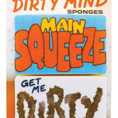 Main Squeeze Sponge Set