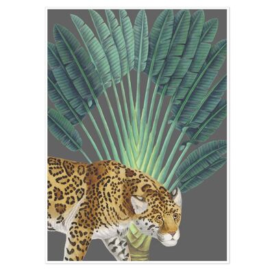 Tropical Jungle Leopard Art Print 50x70cm