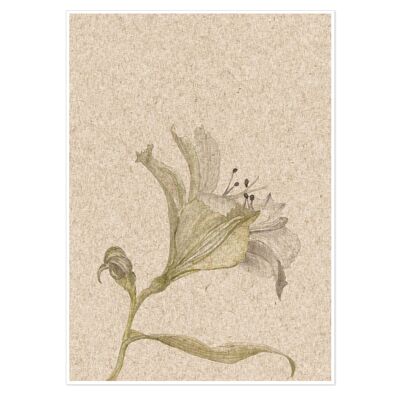 Vintage Floral Stem Art Print 50x70cm