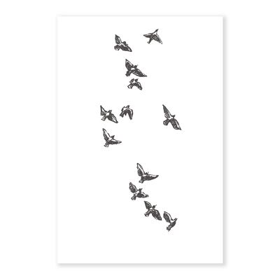 Watercolour Birds 3 Art Print 50x70cm