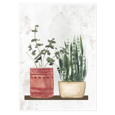 Watercolour Pair Of Potted Plants Art Print 50x70cm