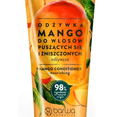 Après-Shampooing Mangue Nourrissant (Tube) NOUVEAU - Barwa