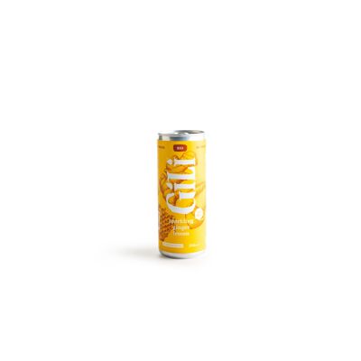 GILI ORGANIC LEMONADE GINGER LEMON 250ML (CANS)