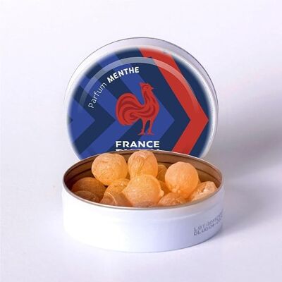 Caja de dulces oficial original de la Copa Mundial de Rugby de Francia Ovalie (menta)