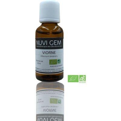 Food supplement - Gemmotherapy Viburnum