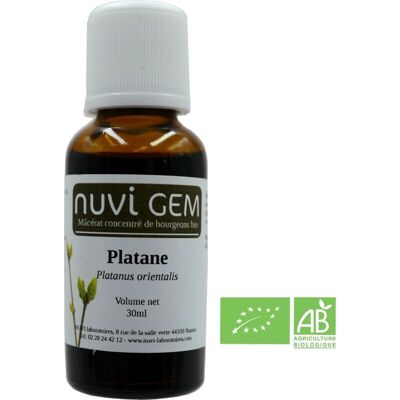 Food supplement - Platane gemmotherapy