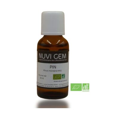 Food supplement - Mountain Pine Gemmotherapy