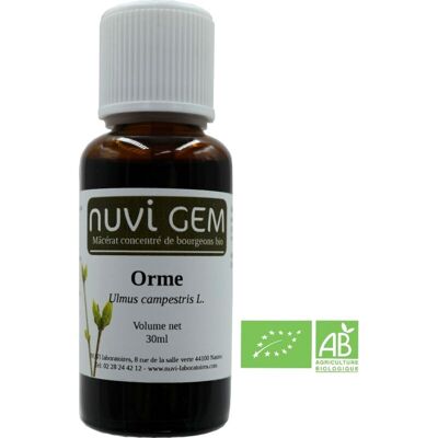 Food supplement - Elm gemmotherapy