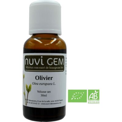 Nahrungsergänzungsmittel - Gemmotherapie Olivier
