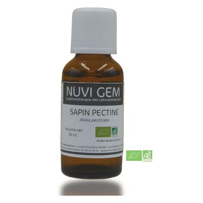 Food supplement - Gemmotherapy Silver fir
