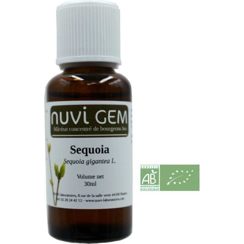 Nahrungsergänzungsmittel - Gemmotherapy Sequoia