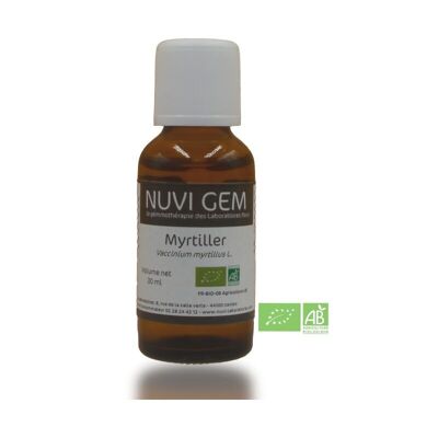 Food supplement - Blueberry gemmotherapy