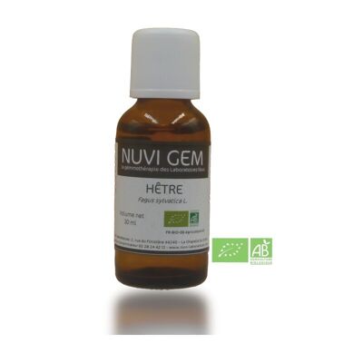 Food supplement - Gemmotherapy Beech