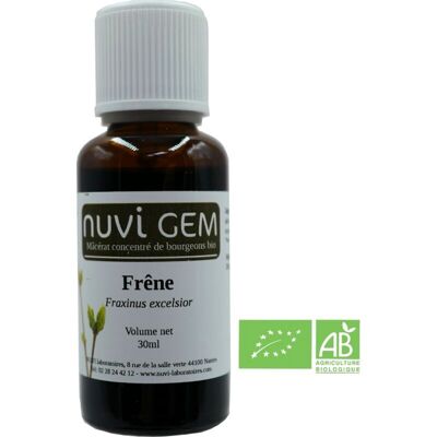 Food supplement - Gemmotherapy Ash