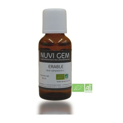 Food supplement - Gemmotherapy Maple