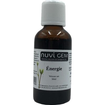 Food supplement - Gemmotherapy Energy