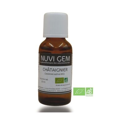 Nahrungsergänzungsmittel - Gemmotherapy Chestnut