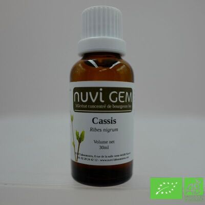 Food supplement - Gemmotherapy Cassis