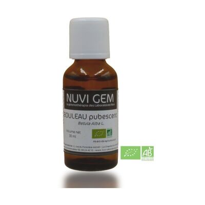 Food supplement - Gemmotherapy Downy birch