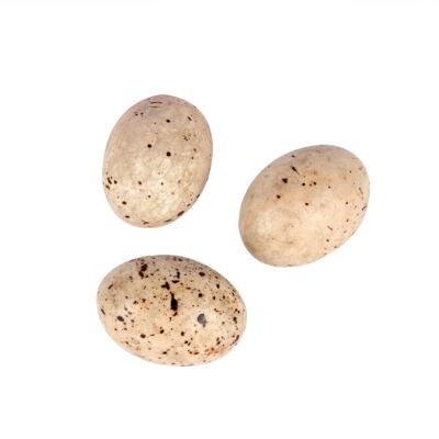 Seagull Eggs Praline & Caramel BULK – MEERESFRÜCHTEPRODUKTE