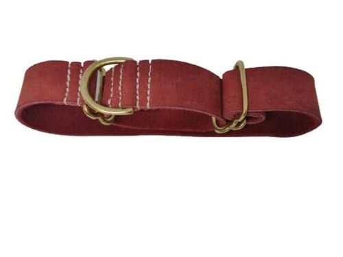 Red dog collars