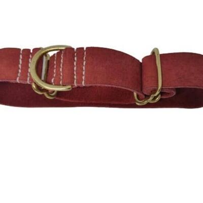 Red dog collars