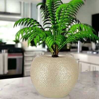 Moderno champagne in ceramica e grande vaso per piante