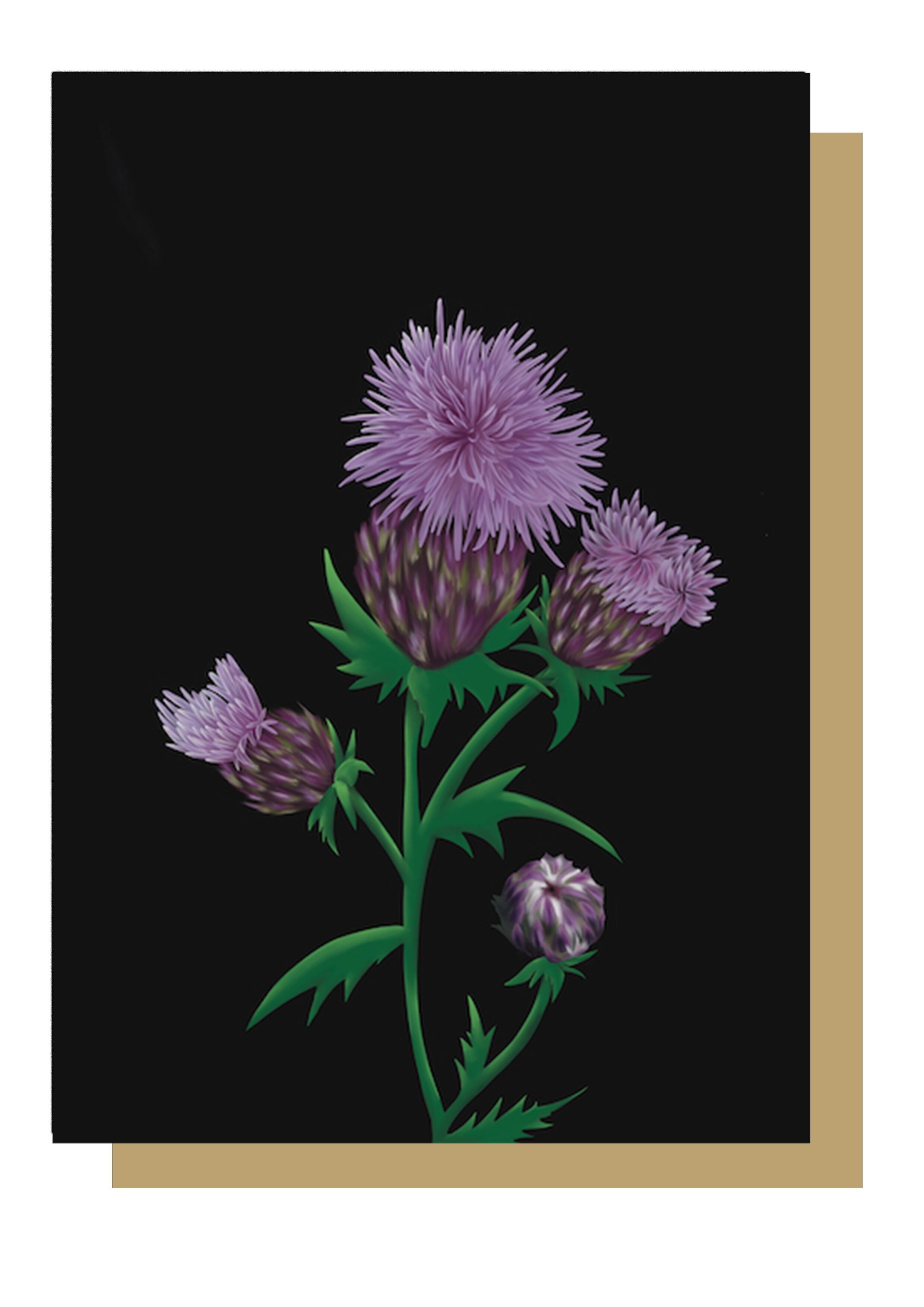 Distel Botanische Grußkarte