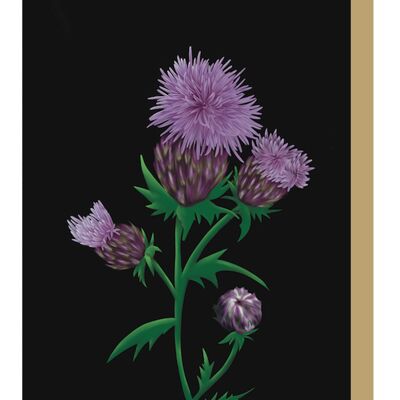 Thistle Botanical Greetings Card