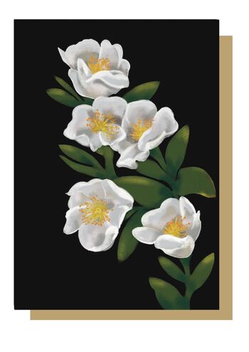 Carte de vœux de fleurs sauvages écossaises de rose blanche 1