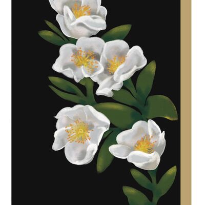 Tarjeta de felicitación de flores silvestres escocesas de rosa blanca