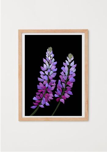 Lupins du ciel de fleurs sauvages de Californie Impression artistique 3