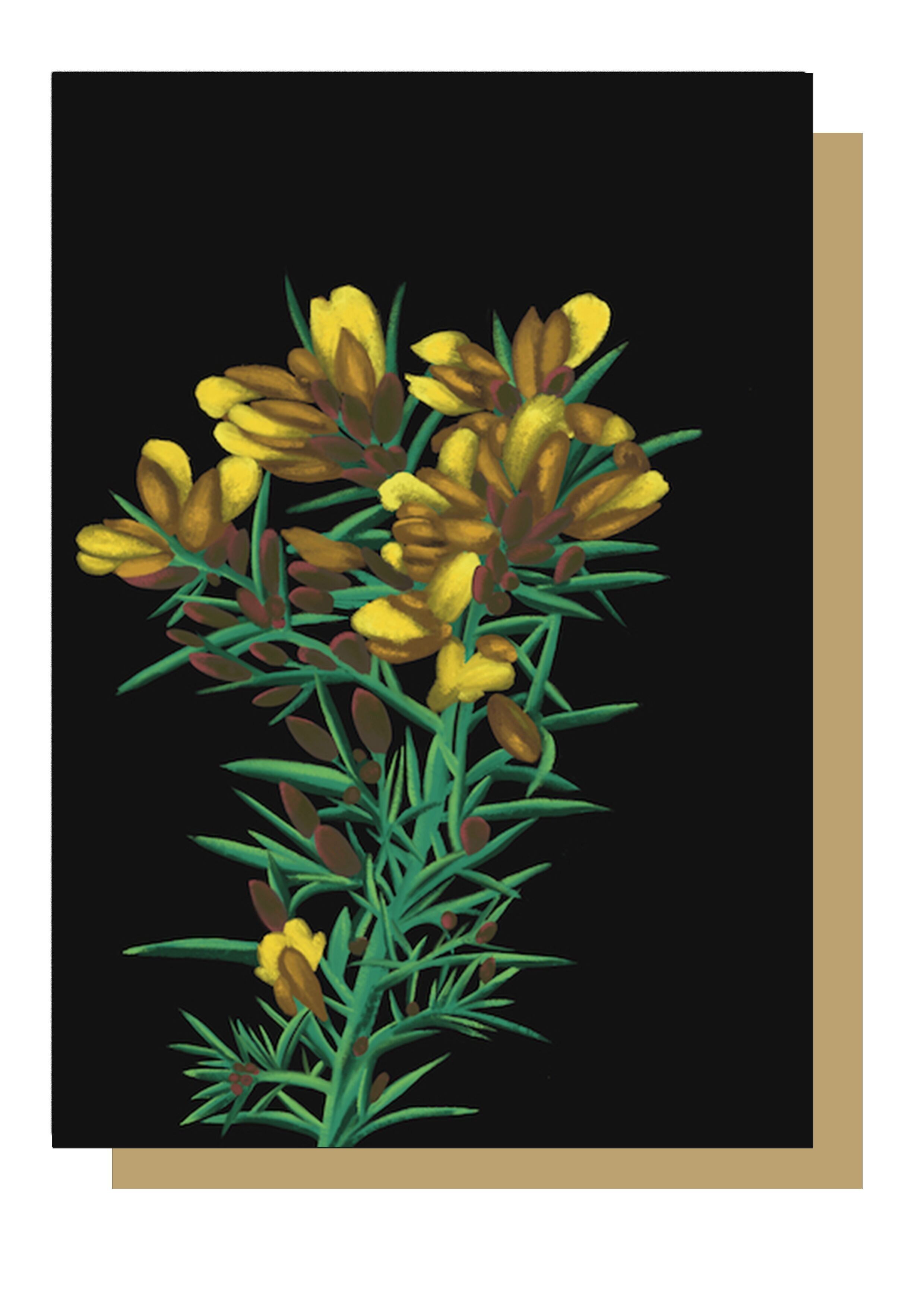 Ginster-Wildblumen-Grußkarte