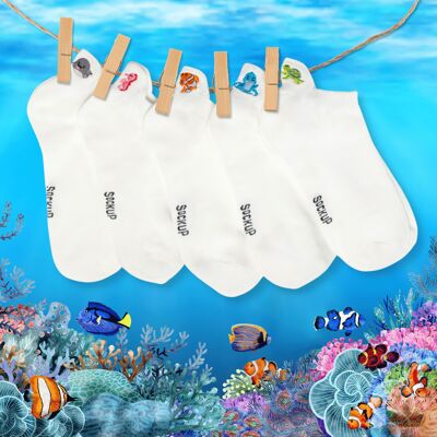 Scatola di calzini con lingua di animali marini (confezione x5)