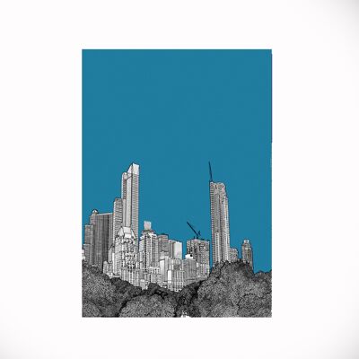 Central Park New York Postcard