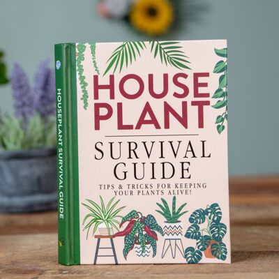 Guide de survie des plantes d'intérieur - Trucs et astuces