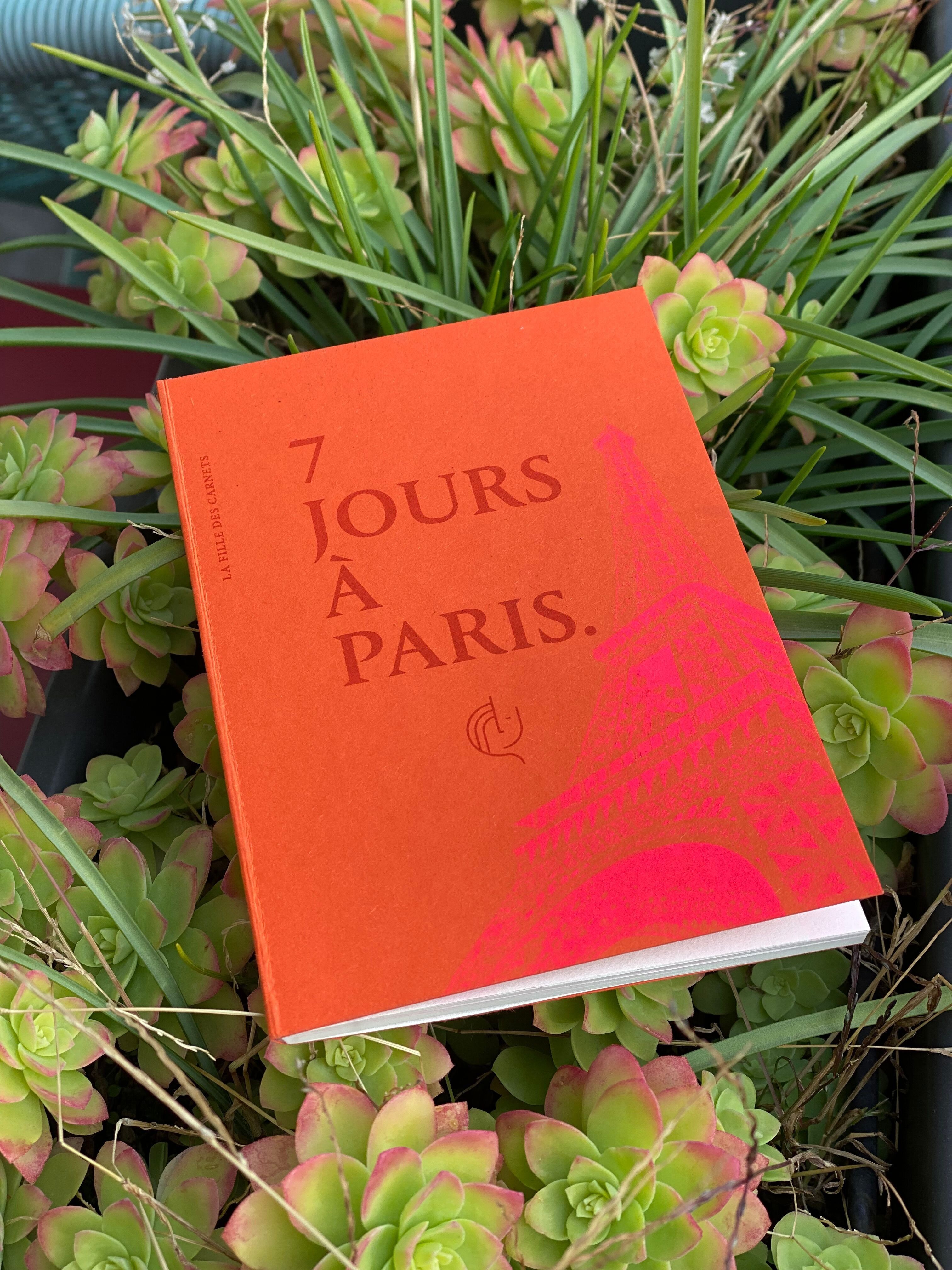 7 DAYS IN PARIS Notebook - 68 pages