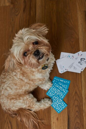 Cartes à jouer pour chiens 4