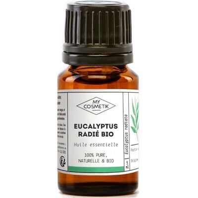 Huile essentielle d'Eucalyptus radié BIO (AB) - 10 ml avec boite
