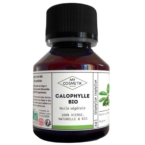 Huile de calophylle BIO - 50 ml