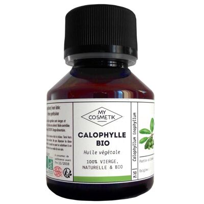 Organic calophyll oil - 50 ml
