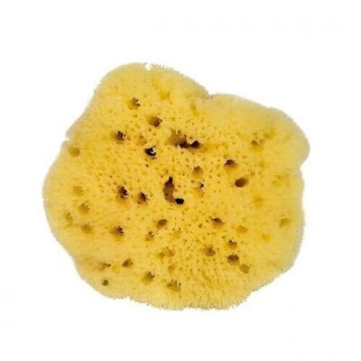 "Silk touch" sea sponge - eye contour - 7 cm