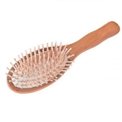 Oval hairbrush with wooden pins