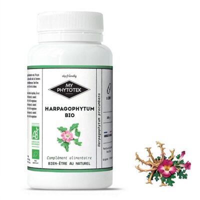 Organic harpagophytum capsules - large pill box - 300 capsules
