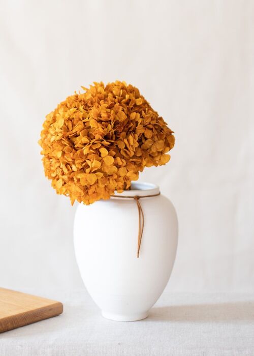 Fleurs séchées - Tête Hortensia stabilisé ambré