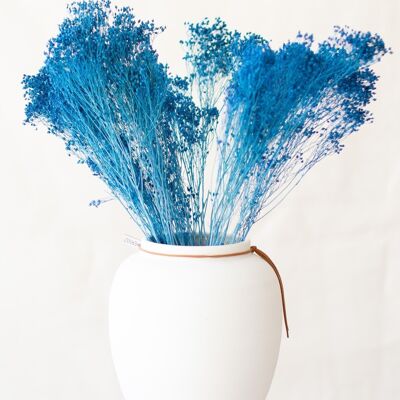 Dried flowers - Blue Broom